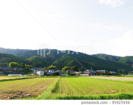 Mie Prefecture, Nabari City, Kuroda Manor (medieval manor) known for Kuroda Villain (Kuroda, early autumn) Mie Prefecture, Nabari City, Kuroda Manor (medieval manor) known for Kuroda Villain (Kuroda, early autumn) 95925936