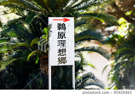 千葉縣勝浦市濱海風景名勝“宇原烏托邦” 千葉縣勝浦市濱海風景名勝“宇原烏托邦” 95926983