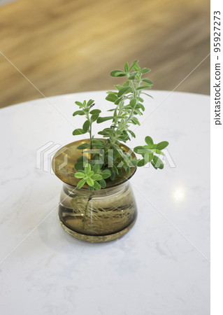 Interior home decoration in summer season 95927273