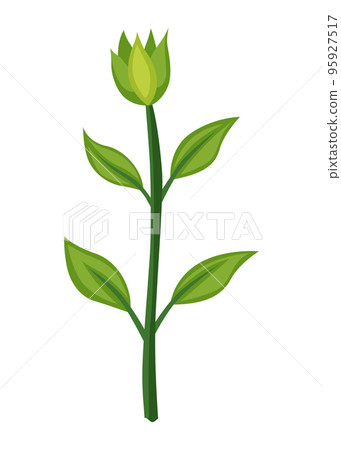 Sunflower growth stage, nurseling. Agriculture plant development. Harvest animation progression phase 95927517