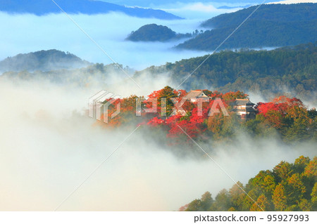 [Okayama Prefecture] Castle in the Sky, Bitchu Matsuyama Castle with Autumn Leaves 95927993
