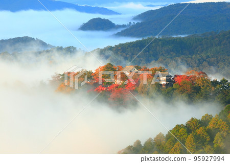[岡山縣]天空之城，紅葉備中松山城 95927994