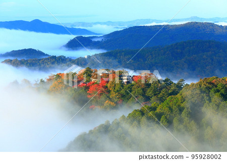 [Okayama Prefecture] Castle in the Sky, Bitchu Matsuyama Castle with Autumn Leaves 95928002