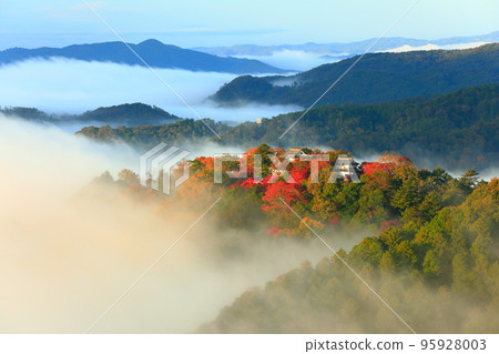 [Okayama Prefecture] Castle in the Sky, Bitchu Matsuyama Castle with Autumn Leaves 95928003