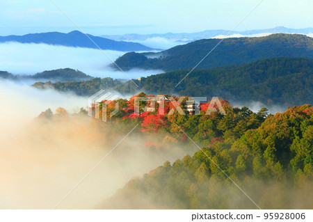 [Okayama Prefecture] Castle in the Sky, Bitchu Matsuyama Castle with Autumn Leaves 95928006