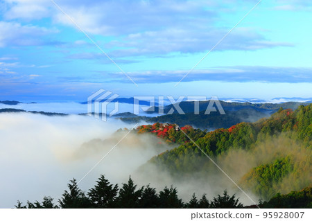 [岡山縣]天空之城，紅葉備中松山城 95928007