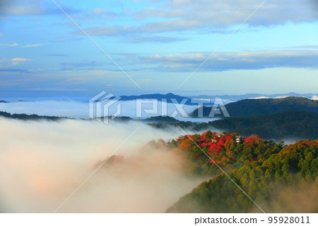 [岡山縣]天空之城，紅葉備中松山城 95928011