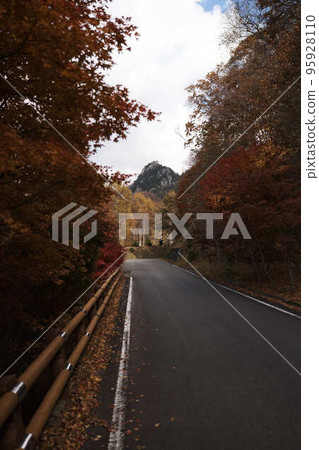 Autumn leaves mountain road leading to Mt. Mizugaki 95928110