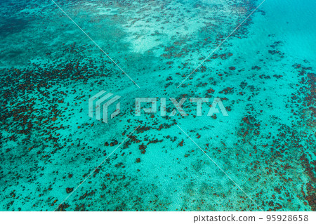 Aerial view of Laem Tong Beach or Laemtong bay in koh Phi Phi, Krabi, Thailand Aerial view of Laem Tong Beach or Laemtong bay in koh Phi Phi, Krabi, Thailand 95928658