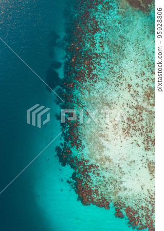 Aerial view of Laem Tong Beach or Laemtong bay in koh Phi Phi, Krabi, Thailand Aerial view of Laem Tong Beach or Laemtong bay in koh Phi Phi, Krabi, Thailand 95928806