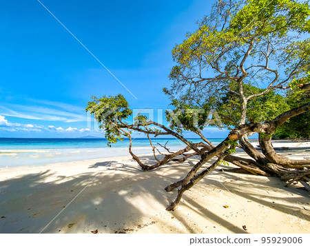 Laem Tong Beach or Laemtong bay in koh Phi Phi, Krabi, Thailand Laem Tong Beach or Laemtong bay in koh Phi Phi, Krabi, Thailand 95929006