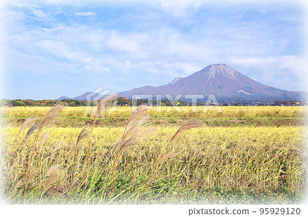 Golden rice ears and Daisen scenery (illustration style) in the harvest season Golden rice ears and Daisen scenery (illustration style) in the harvest season 95929120