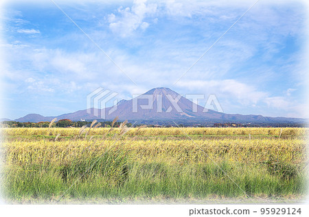Golden rice ears and Daisen scenery (illustration style) in the harvest season Golden rice ears and Daisen scenery (illustration style) in the harvest season 95929124