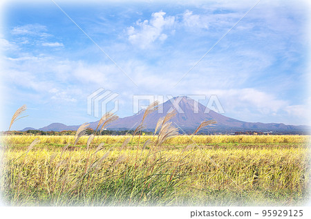 Golden rice ears and Daisen scenery (illustration style) in the harvest season Golden rice ears and Daisen scenery (illustration style) in the harvest season 95929125