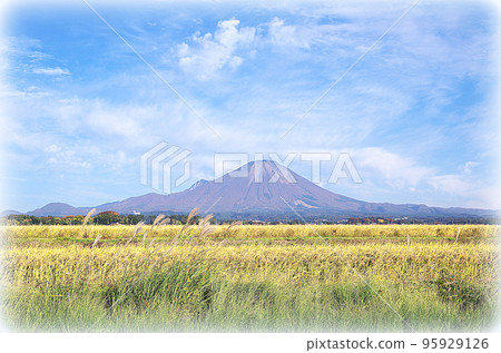 Golden rice ears and Daisen scenery (illustration style) in the harvest season 95929126