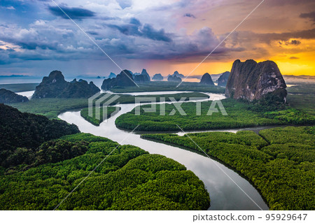 Aerial view of Phang Nga bay, Thailand 95929647