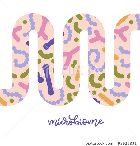 Gut microbiome banner with abstarct guts. Human intestine microbiota with healthy probiotic bacteria. Flat vector abstract medicine illustration of microbiology checkup. Gut microbiome banner with abstarct guts. Human intestine microbiota with healthy probiotic bacteria. Flat vector abstract medicine illustration of microbiology checkup. 95929831