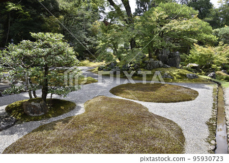 三寶院前的醍醐寺 95930723
