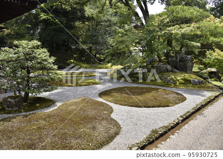 三寶院前的醍醐寺 95930725