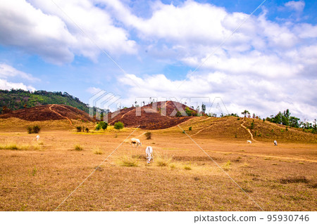 Phu Khao Ya, also called bald hills in Ranong, Thailand Phu Khao Ya, also called bald hills in Ranong, Thailand 95930746