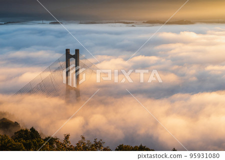 Chichibu's sea of clouds in the morning sun Chichibu's sea of clouds in the morning sun 95931080