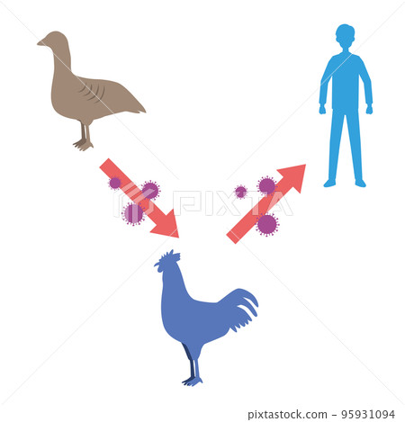 禽流感的圖像說明 95931094