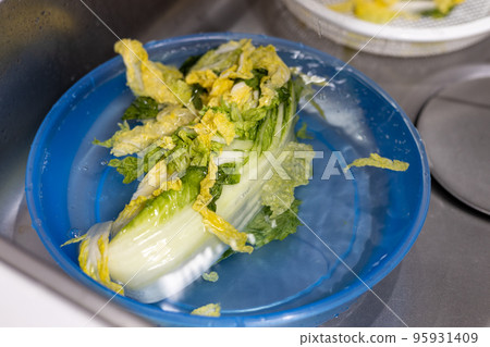 想在家裡做大白菜泡菜 想在家裡做大白菜泡菜 95931409