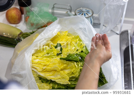 Sprinkling salt on Chinese cabbage to make Chinese cabbage kimchi at home Sprinkling salt on Chinese cabbage to make Chinese cabbage kimchi at home 95931681