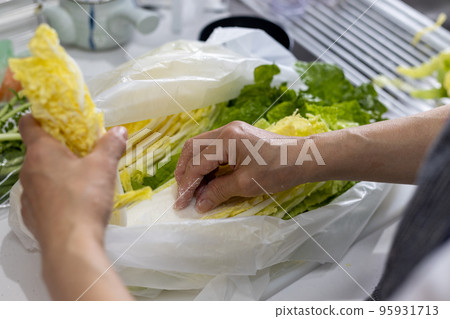Sprinkling salt on Chinese cabbage to make Chinese cabbage kimchi at home 95931713