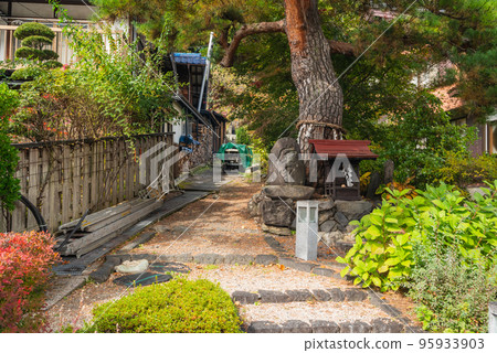 Naraijuku Narrow Path [Autumn] 95933903