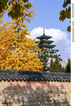 Gyeongbok Palace Outing 95934894