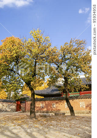 Gyeongbok Palace Outing 95934958