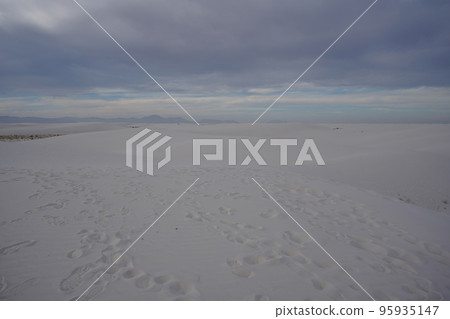 America white desert landscape 95935147