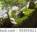 三層人行道上的苔蘚 95935421