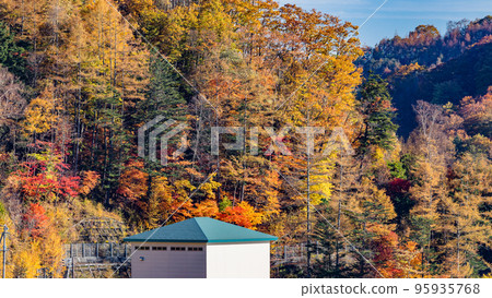 [Yamanashi Prefecture] Autumn leaves at Kotogawa Dam Lakeside Square *Natural scenery 95935768