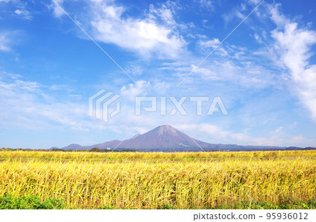 稻田的金穗和豐收的大山 95936012