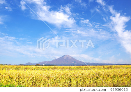 稻田的金穗和豐收的大山 稻田的金穗和豐收的大山 95936013