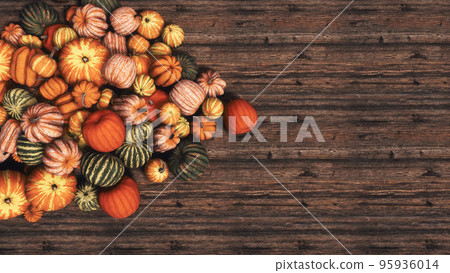 Top view of various colorful autumn pumpkins on dark wooden background with copy space Top view of various colorful autumn pumpkins on dark wooden background with copy space 95936014
