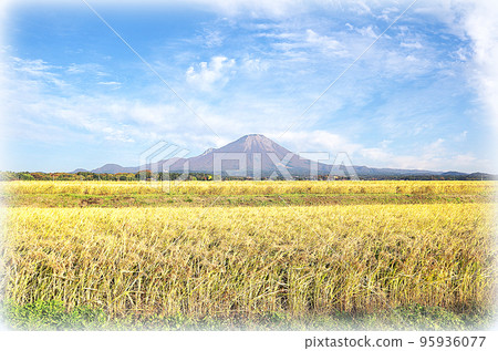Golden rice ears and Daisen scenery (illustration style) in the harvest season Golden rice ears and Daisen scenery (illustration style) in the harvest season 95936077