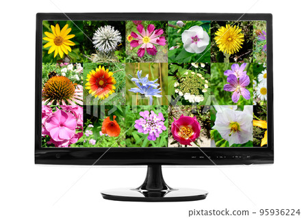 computer screen computer screen 95936224