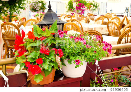 pot of flowers 95936405