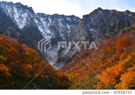 Collaboration of Tanigawadake Ichinokurasawa Snow and Autumn Leaves Collaboration of Tanigawadake Ichinokurasawa Snow and Autumn Leaves 95936733