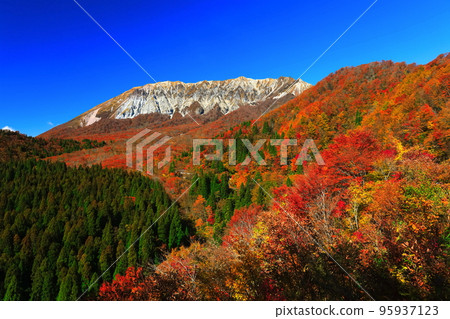 [Tottori Prefecture] Mt. Daisen in autumn colors seen from Kagikake Pass on a sunny day 95937123