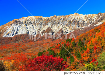 [鳥取縣]晴天從掛掛山口看到的秋色大山 95937129