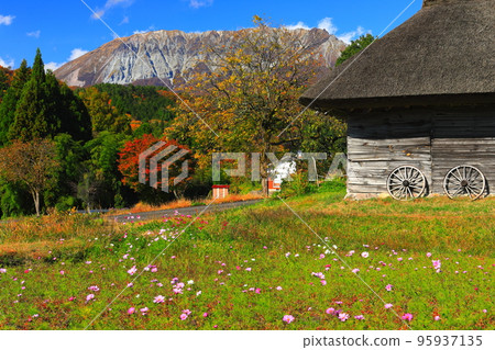[Tottori Prefecture] Mt. Daisen in autumn colors and thatched hut at Mitsuko 95937135