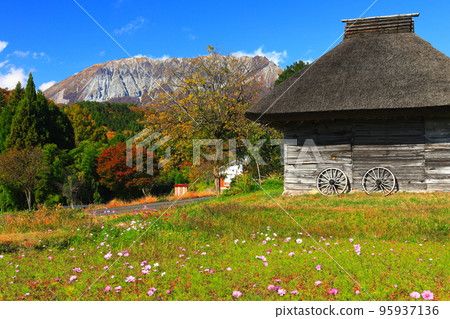 [Tottori Prefecture] Mt. Daisen in autumn colors and thatched hut at Mitsuko 95937136