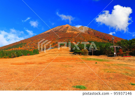[鳥取縣]晴天從真水高原看到的秋色大山 95937146