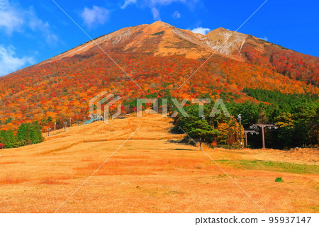 [鳥取縣]晴天從真水高原看到的秋色大山 95937147