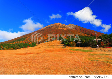 [鳥取縣]晴天從真水高原看到的秋色大山 95937149