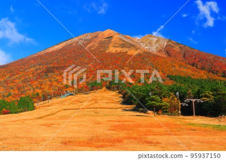 [鳥取縣]晴天從真水高原看到的秋色大山 95937150